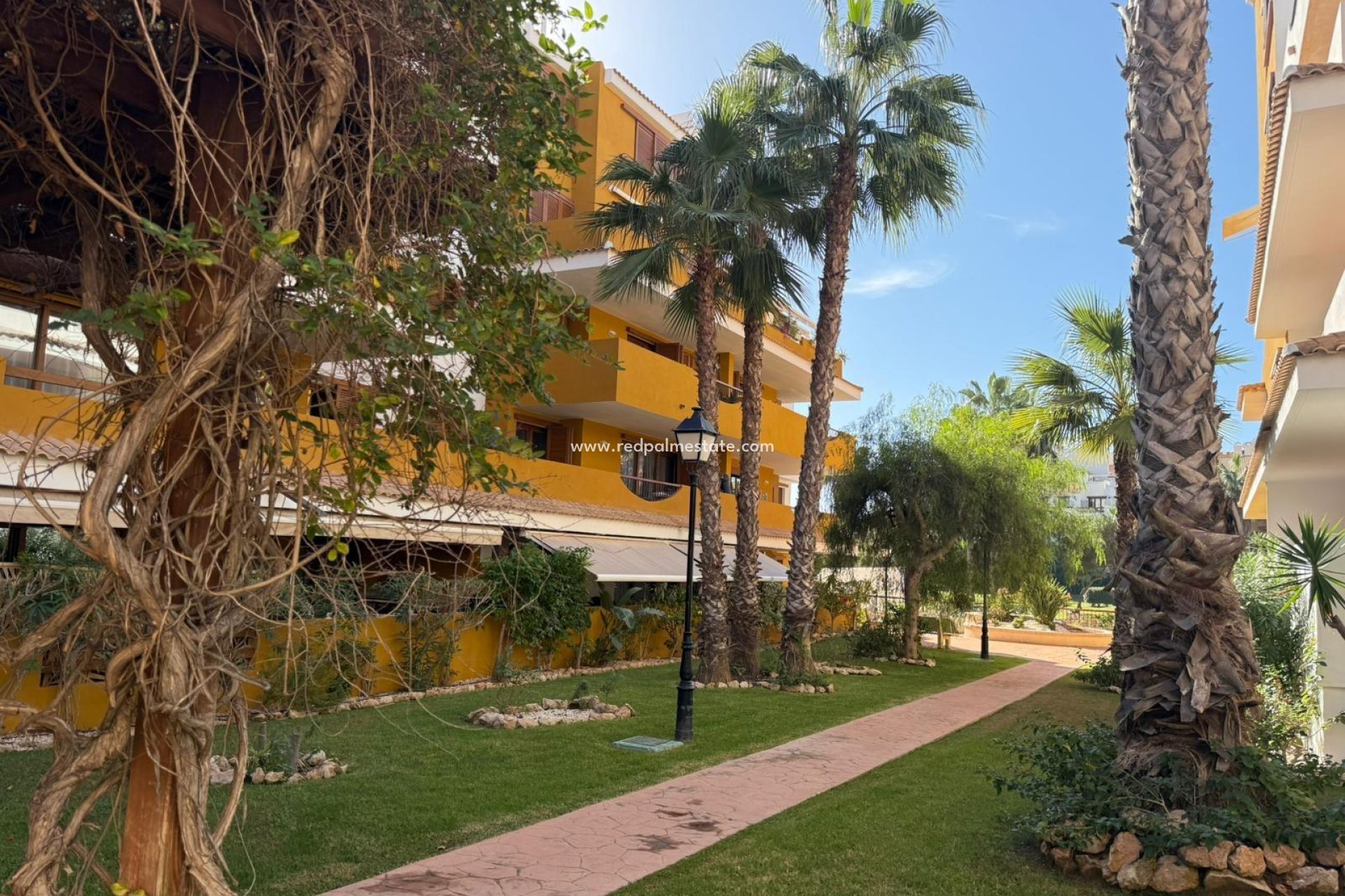 Revente - Appartements -
Torrevieja - Punta prima