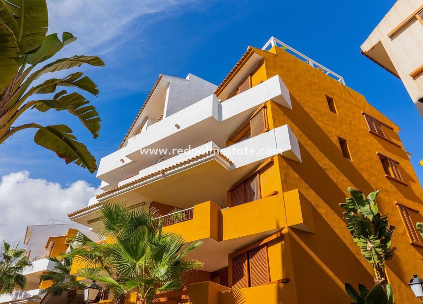 Revente - Appartements -
Torrevieja - Punta prima