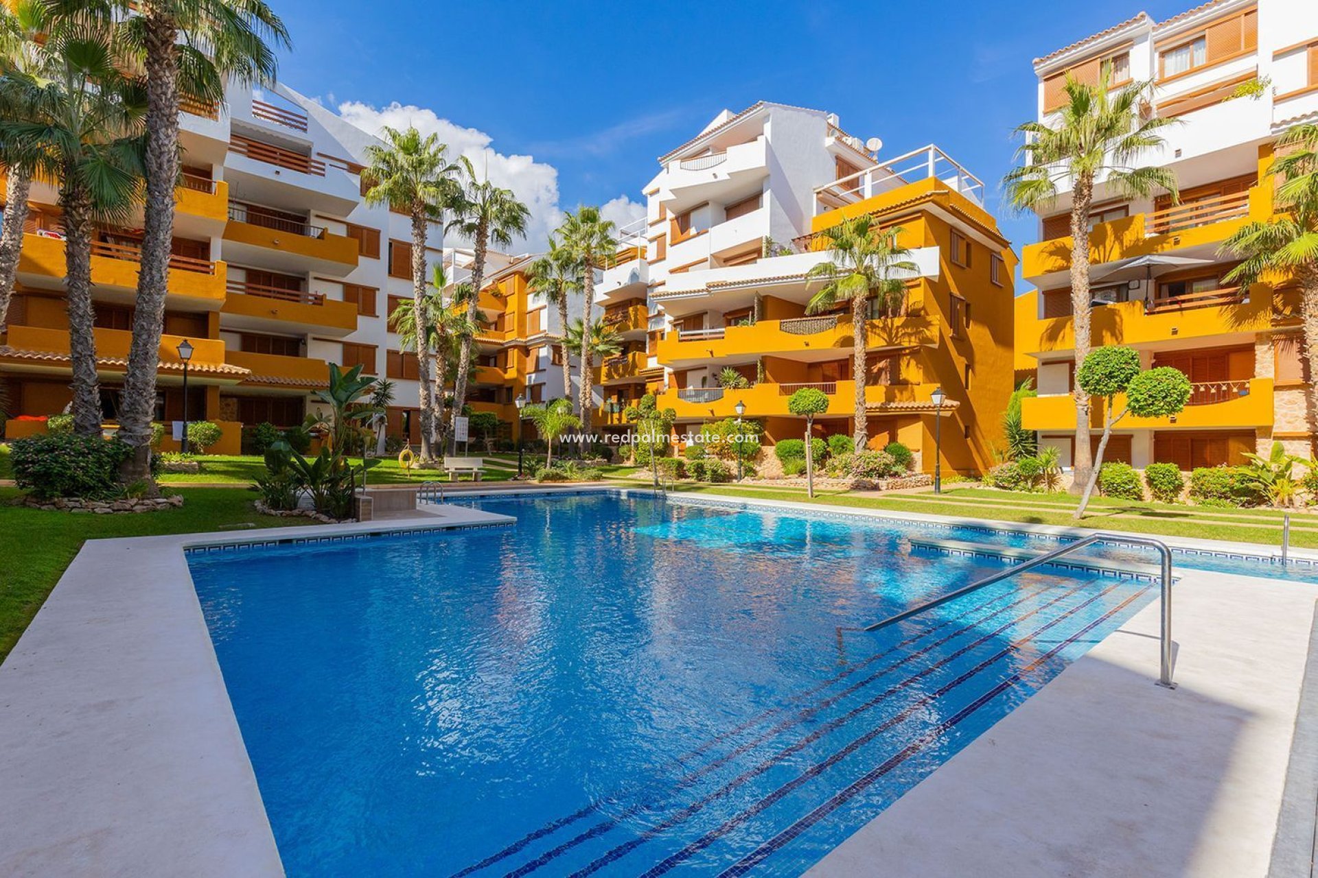 Revente - Appartements -
Torrevieja - Punta prima