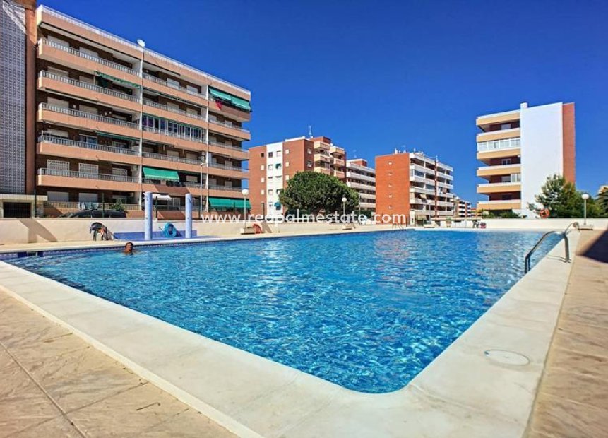 Revente - Appartements -
Torrevieja - Punta prima