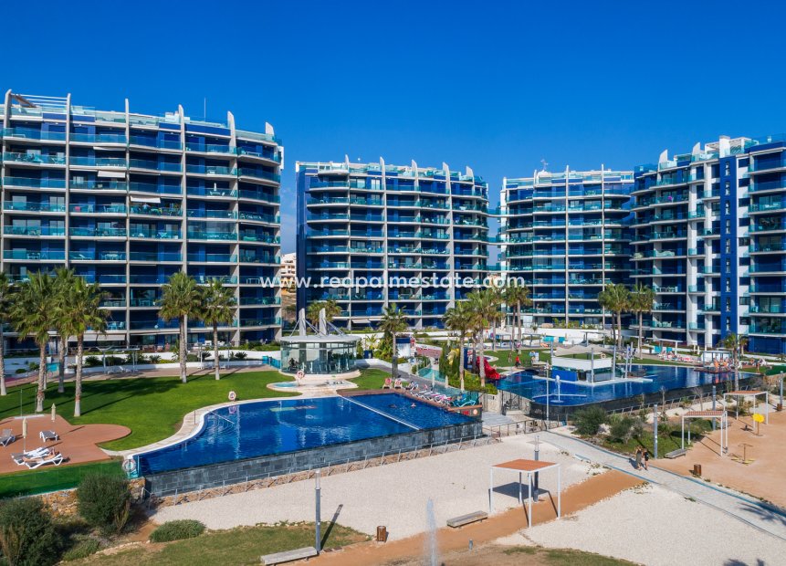 Revente - Appartements -
Torrevieja - Punta prima