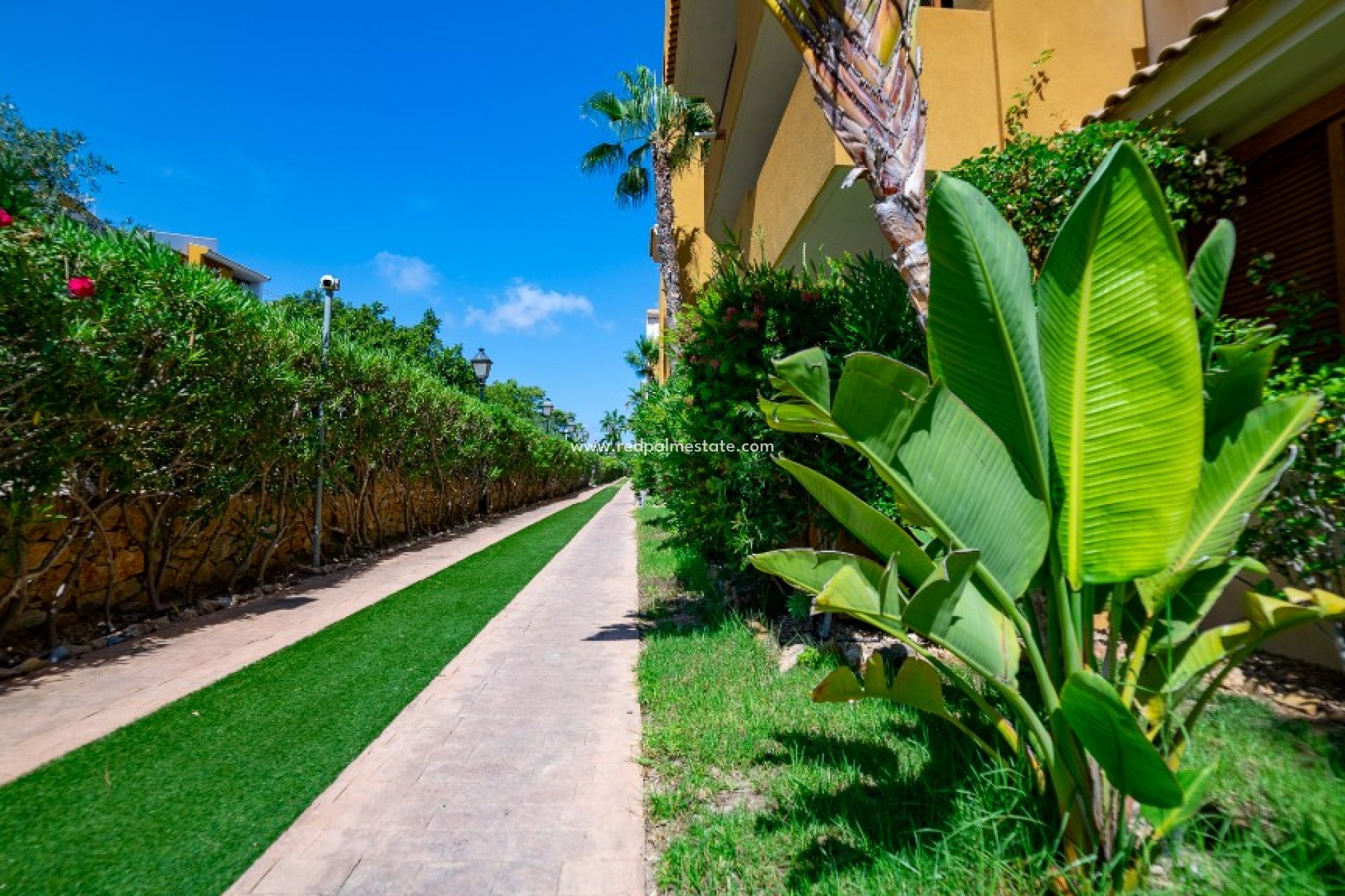 Revente - Appartements -
Torrevieja - Punta prima