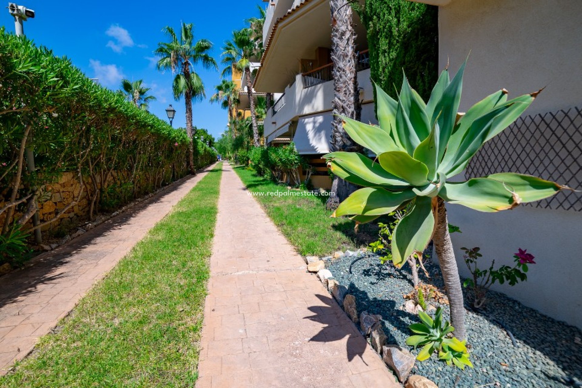 Revente - Appartements -
Torrevieja - Punta prima