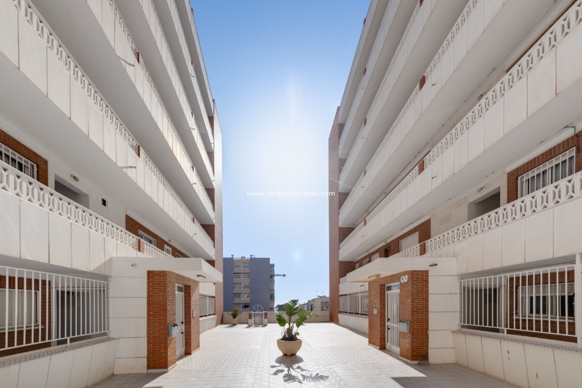 Revente - Appartements -
Torrevieja - Punta prima