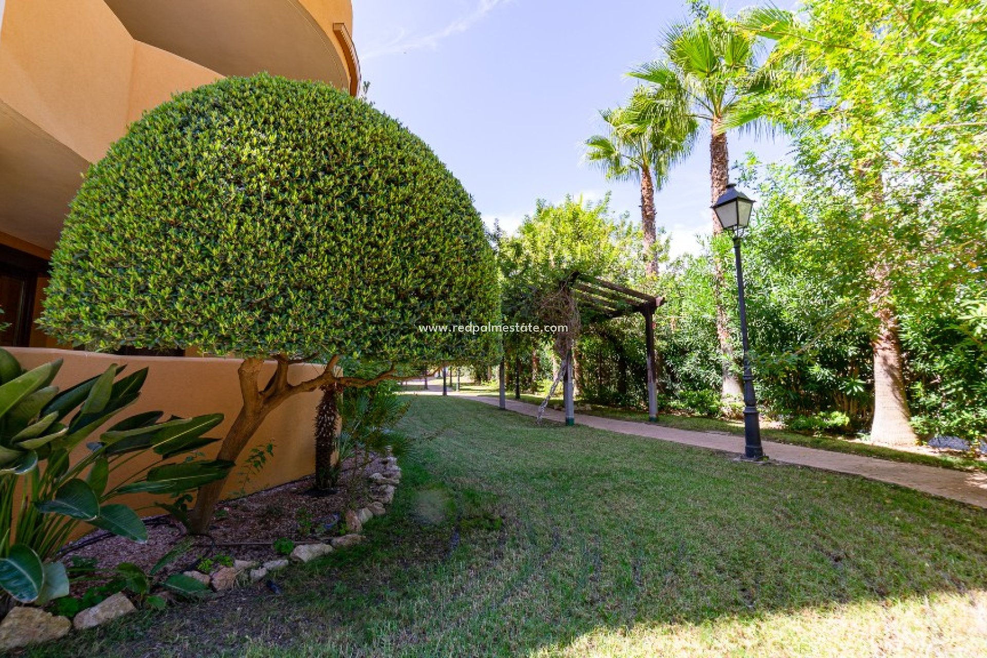 Revente - Appartements -
Torrevieja - Punta prima