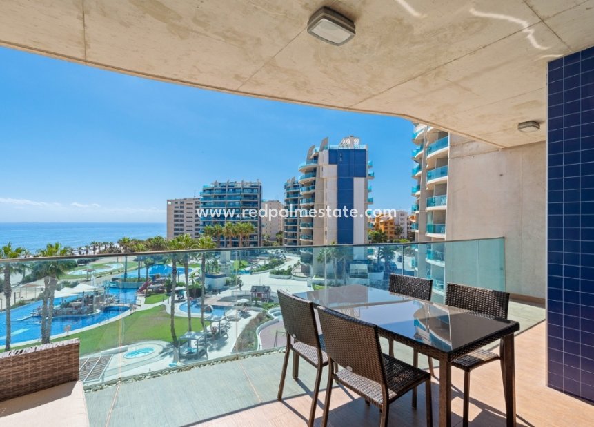 Revente - Appartements -
Torrevieja - Punta prima