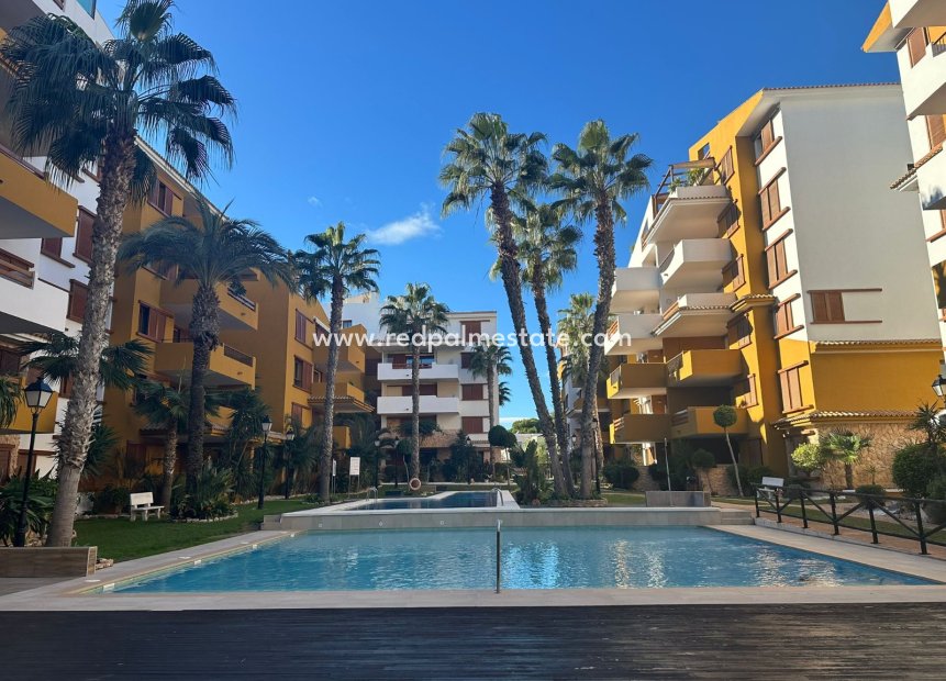 Revente - Appartements -
Torrevieja - Punta prima