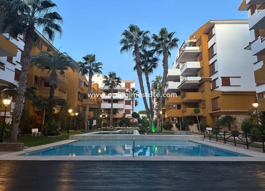Revente - Appartements -
Torrevieja - Punta prima