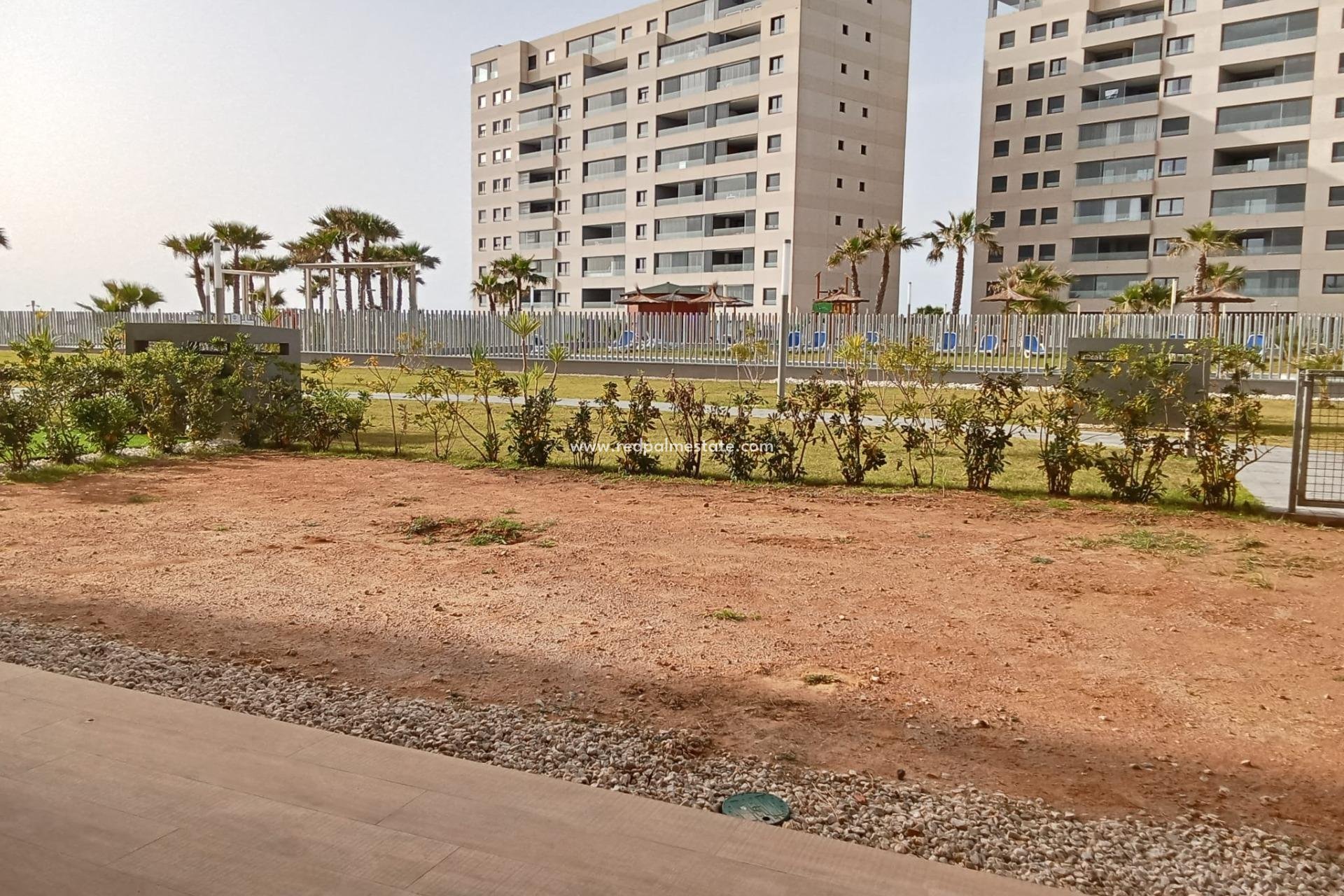 Revente - Appartements -
Torrevieja - Punta prima