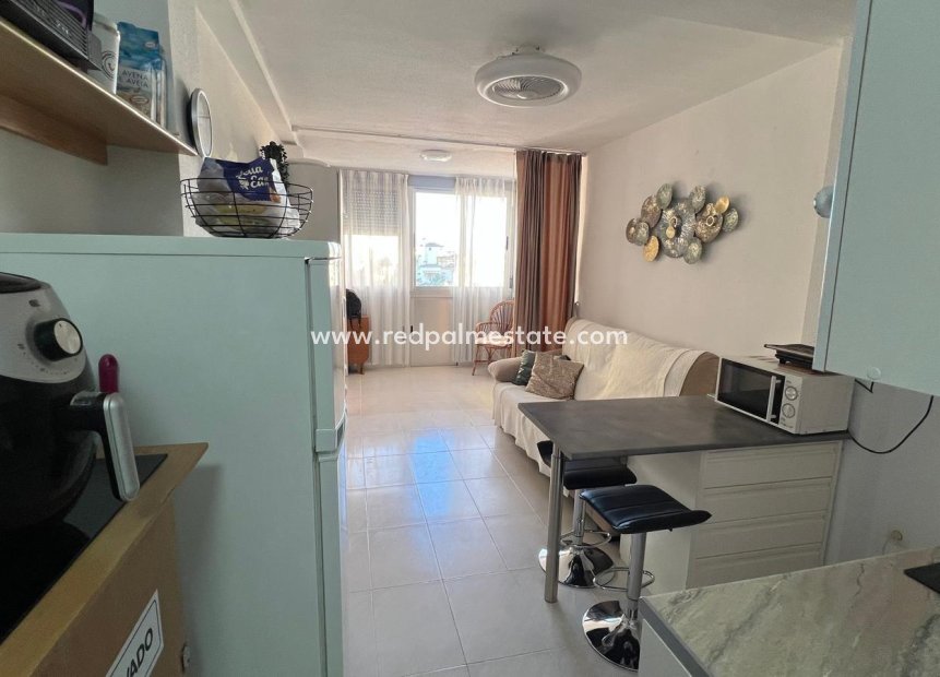 Revente - Appartements -
Torrevieja - Rosaleda-los frutales