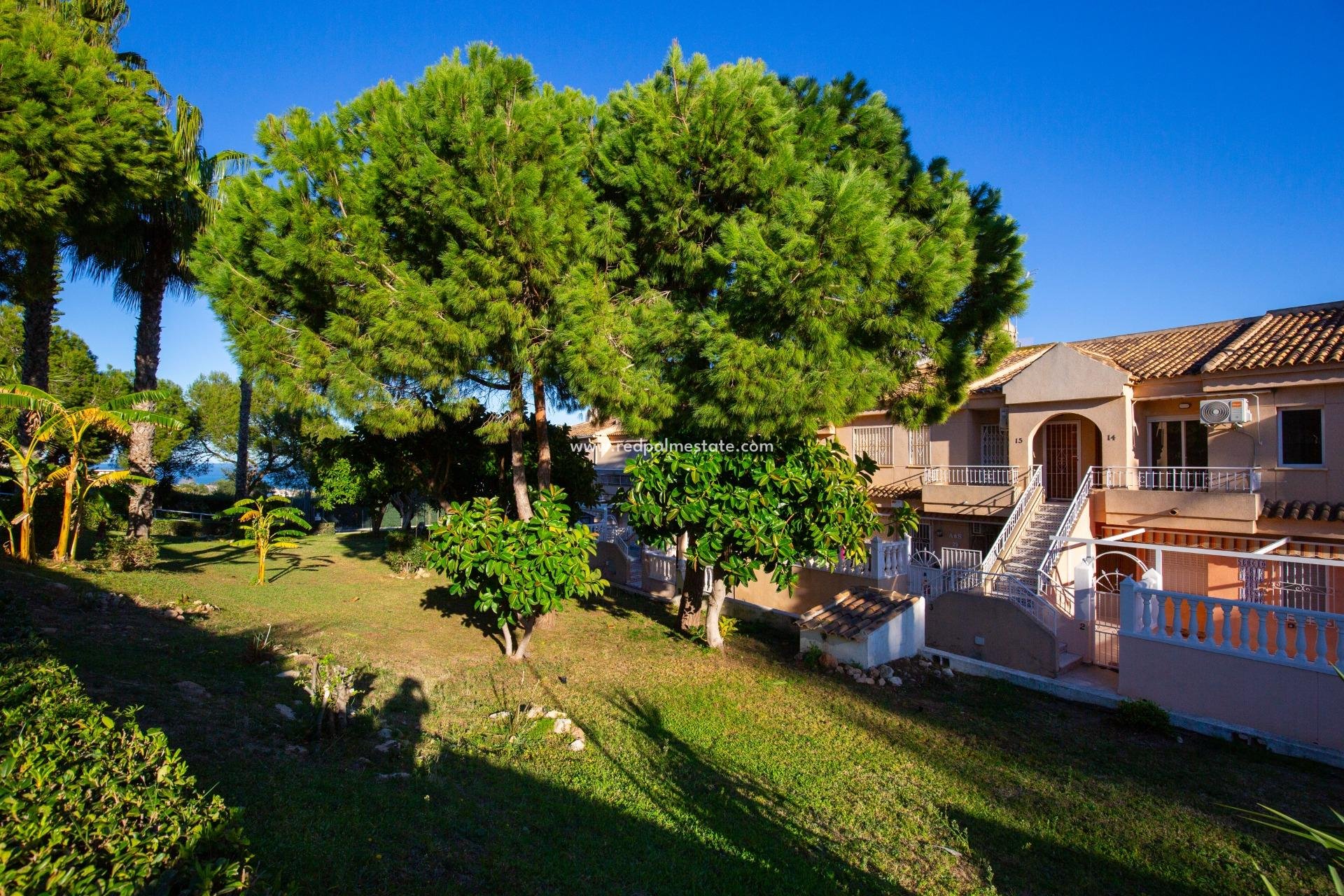 Revente - Appartements -
Torrevieja - Torreblanca