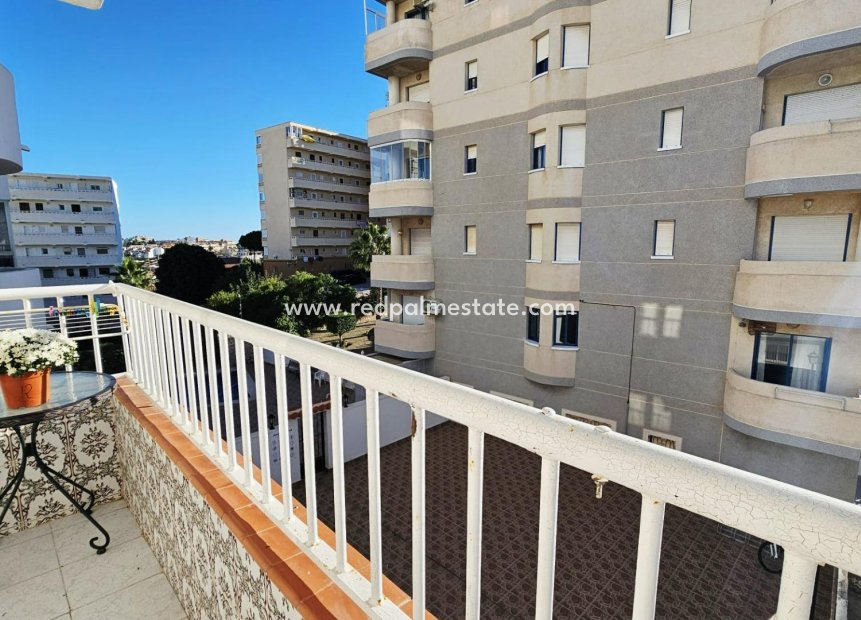 Revente - Appartements -
Torrevieja - Torreblanca