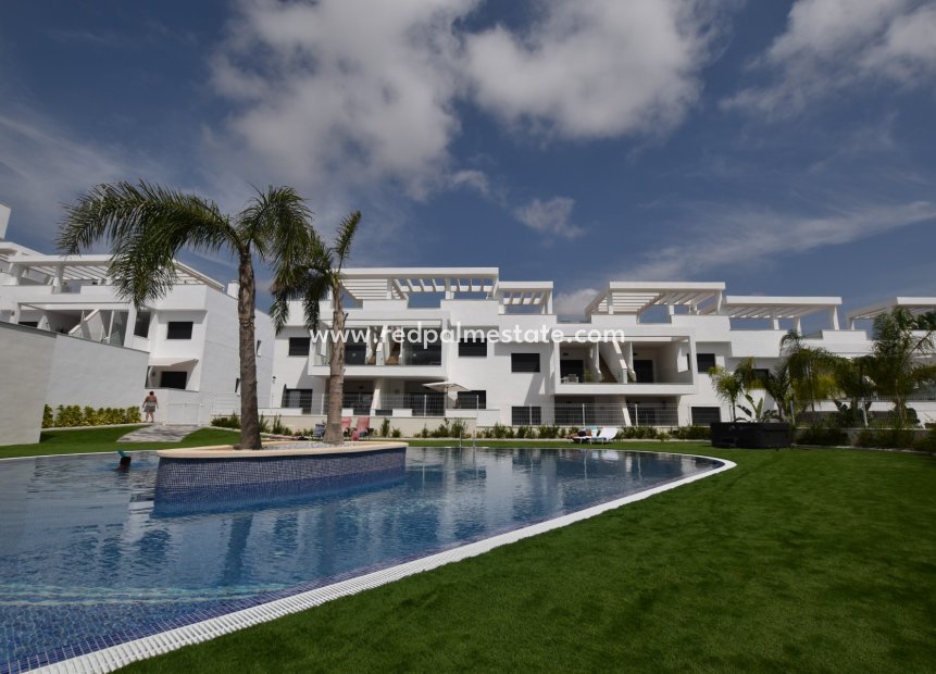 Revente - Appartements -
Torrevieja