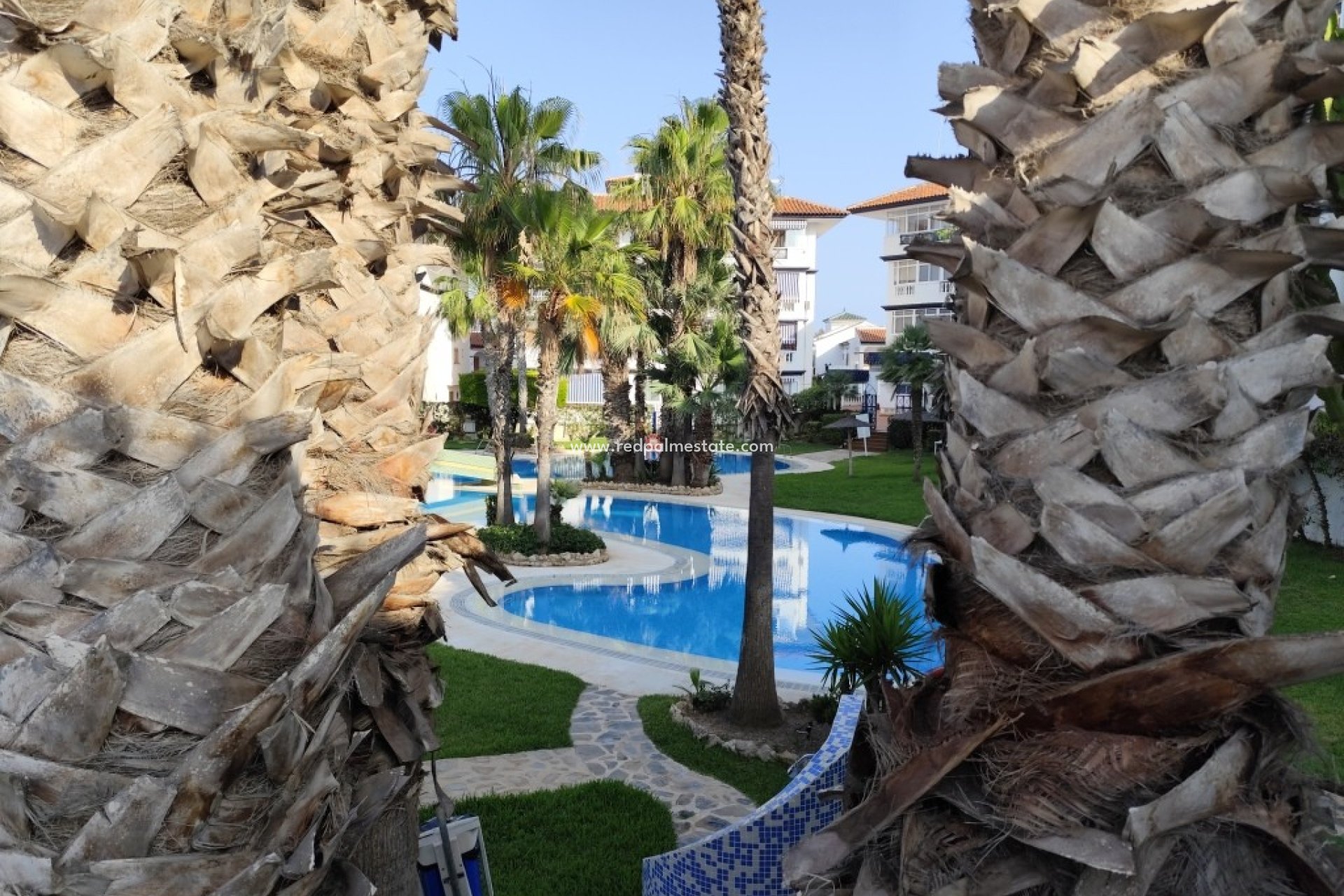 Revente - Appartements -
Torrevieja
