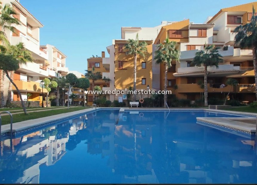 Revente - Appartements -
Torrevieja