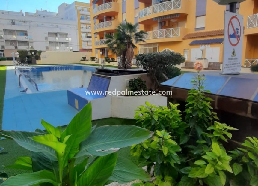 Revente - Appartements -
Torrevieja