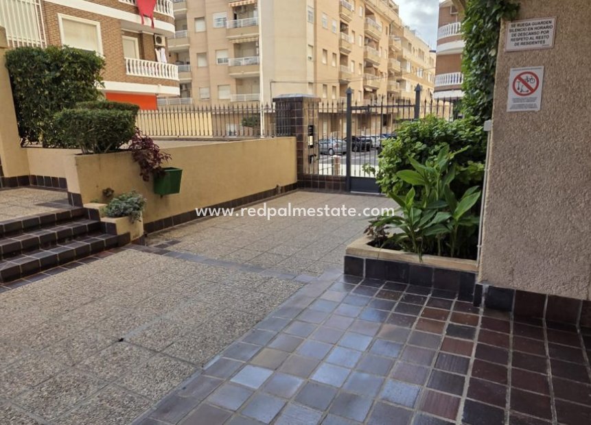 Revente - Appartements -
Torrevieja