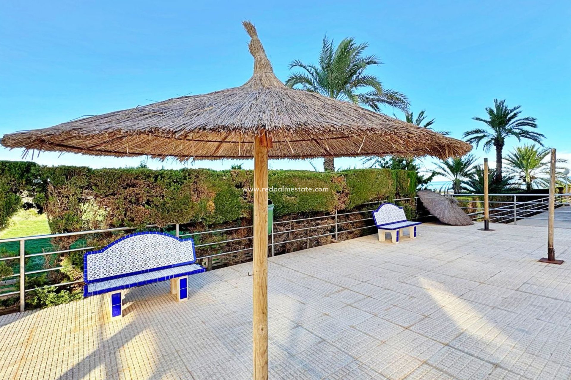 Revente - Appartements -
Torrevieja