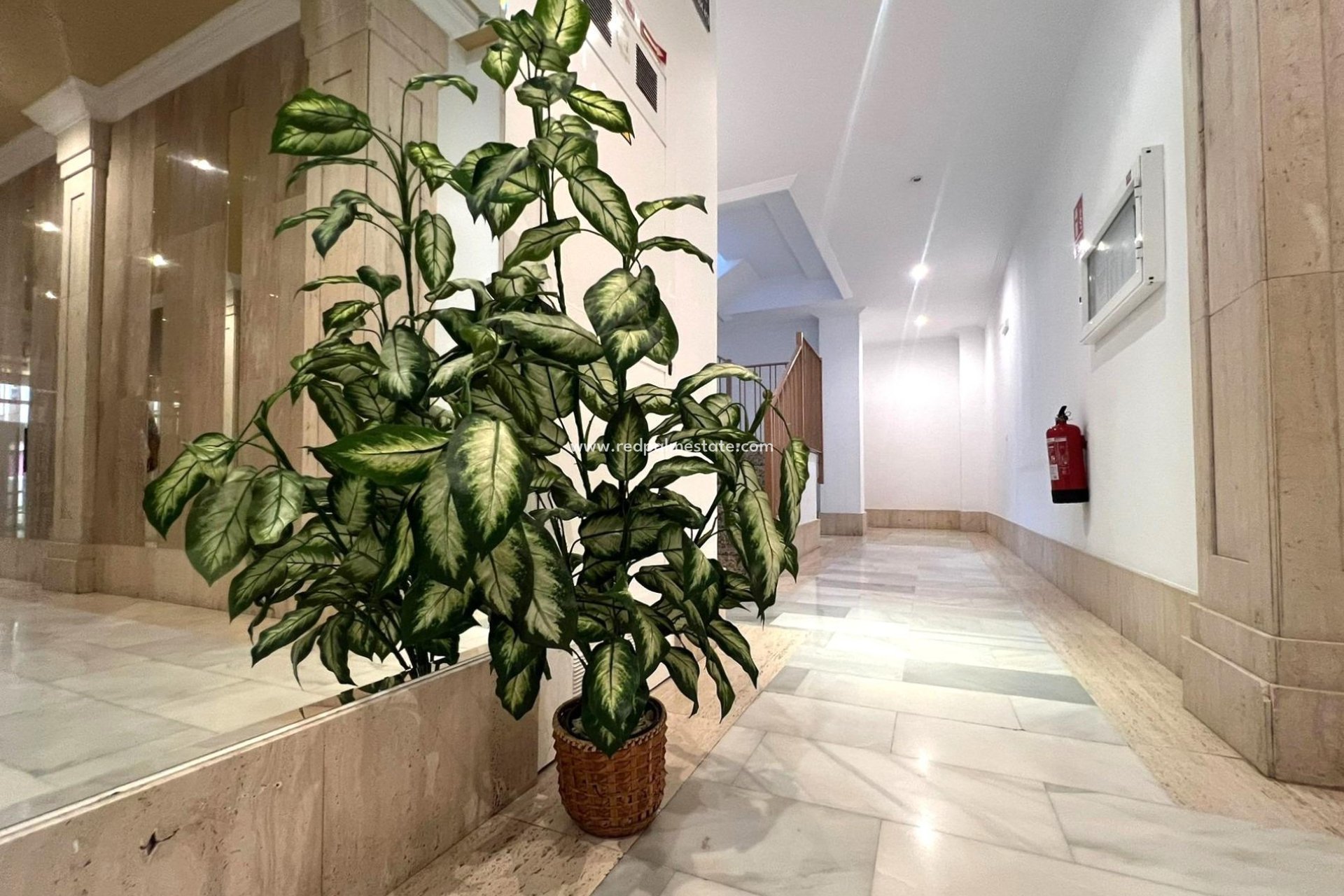 Revente - Appartements -
Torrevieja