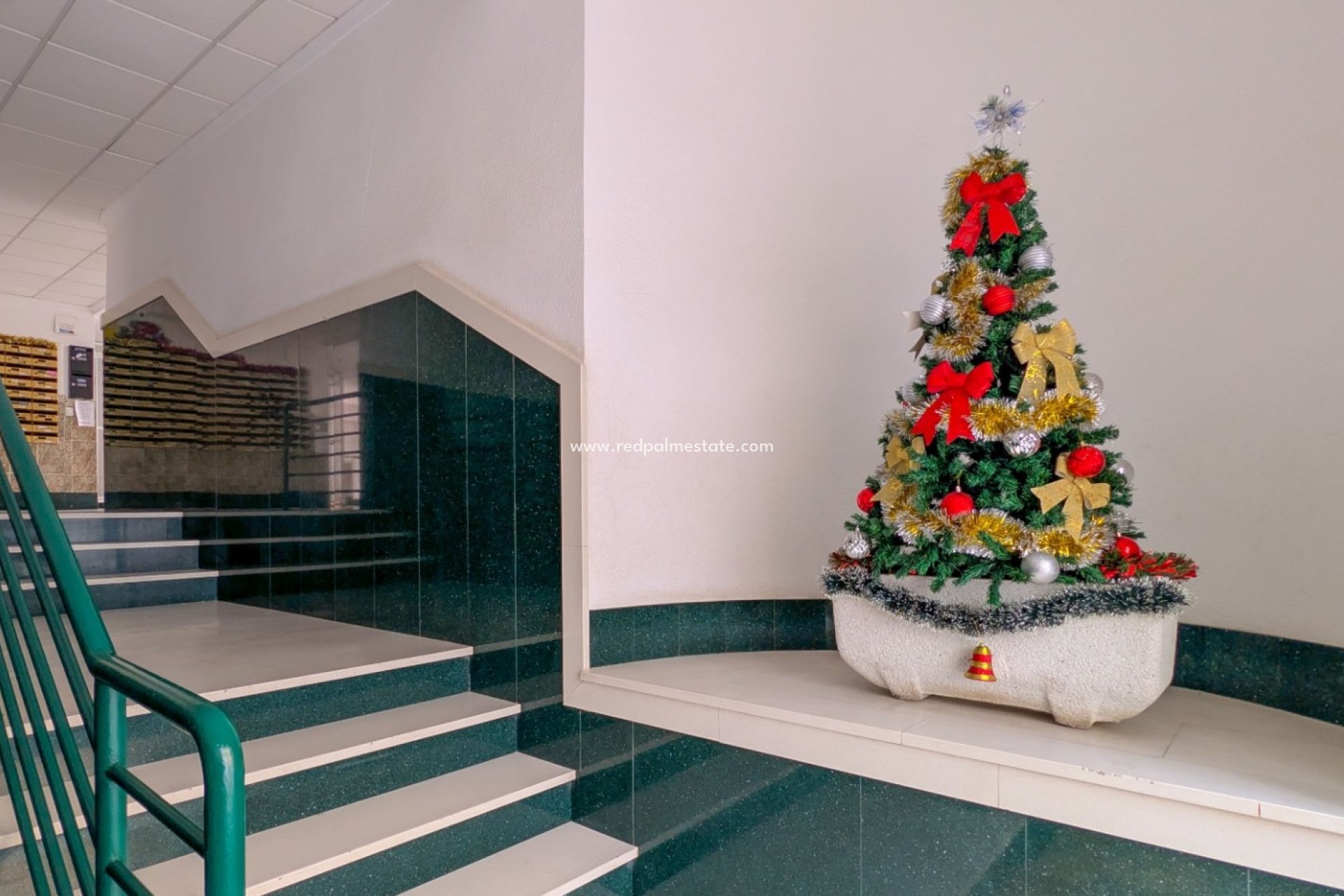 Revente - Appartements -
Torrevieja