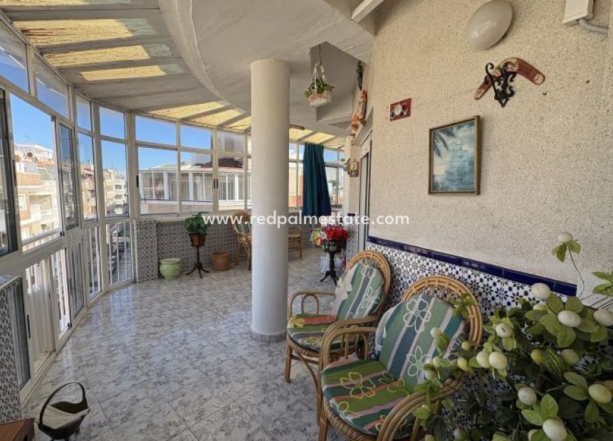 Revente - Appartements -
Torrevieja