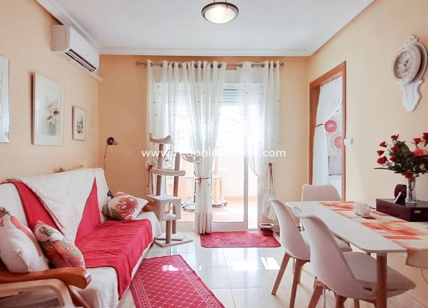 Revente - Appartements -
Torrevieja
