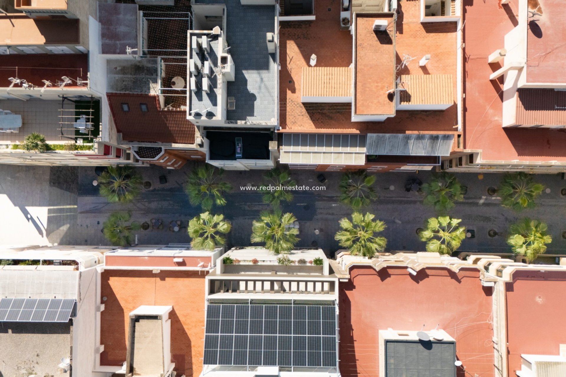 Revente - Appartements -
Torrevieja