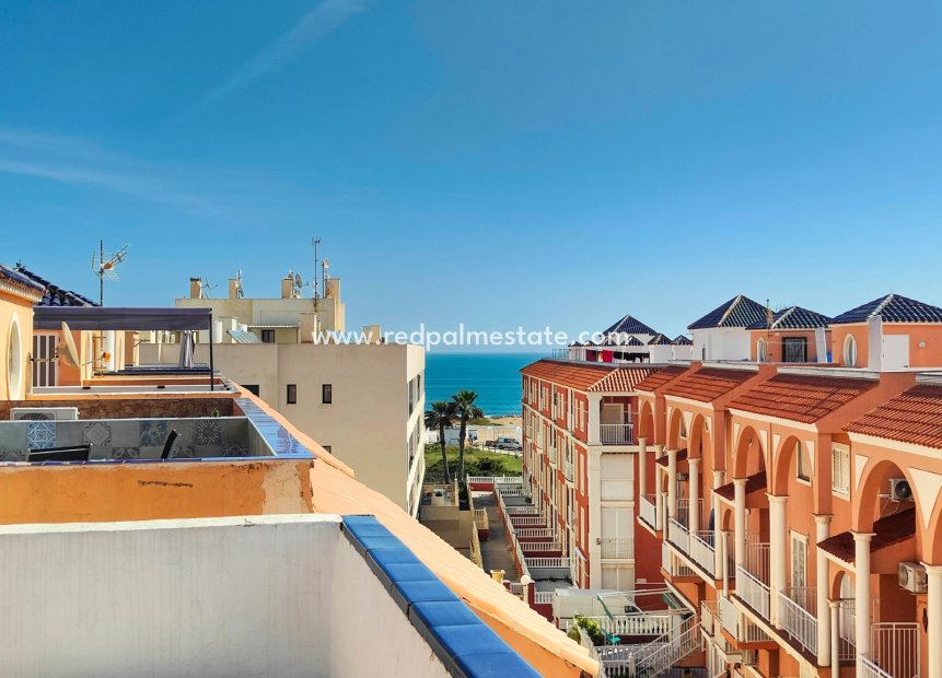 Revente - Appartements -
Torrevieja