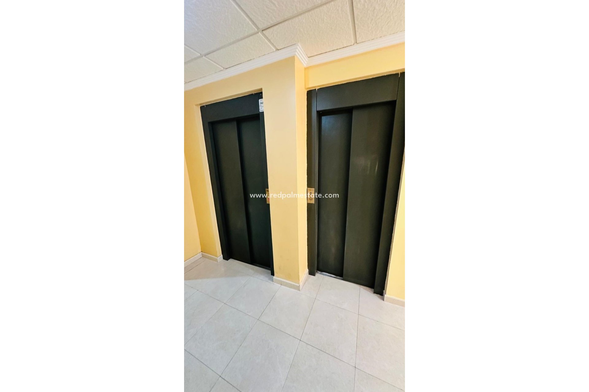 Revente - Appartements -
Torrevieja