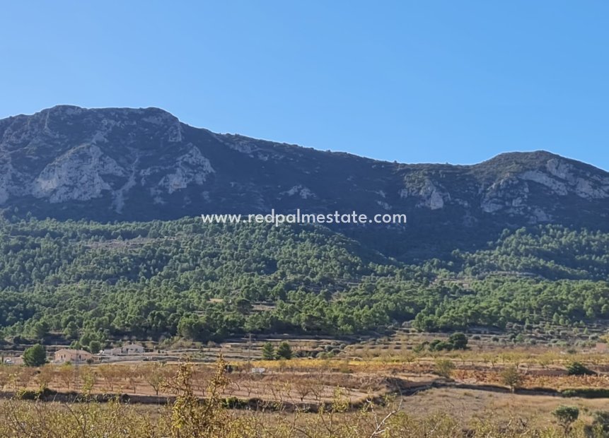 Revente - Atterrir -
La Romana - Inland