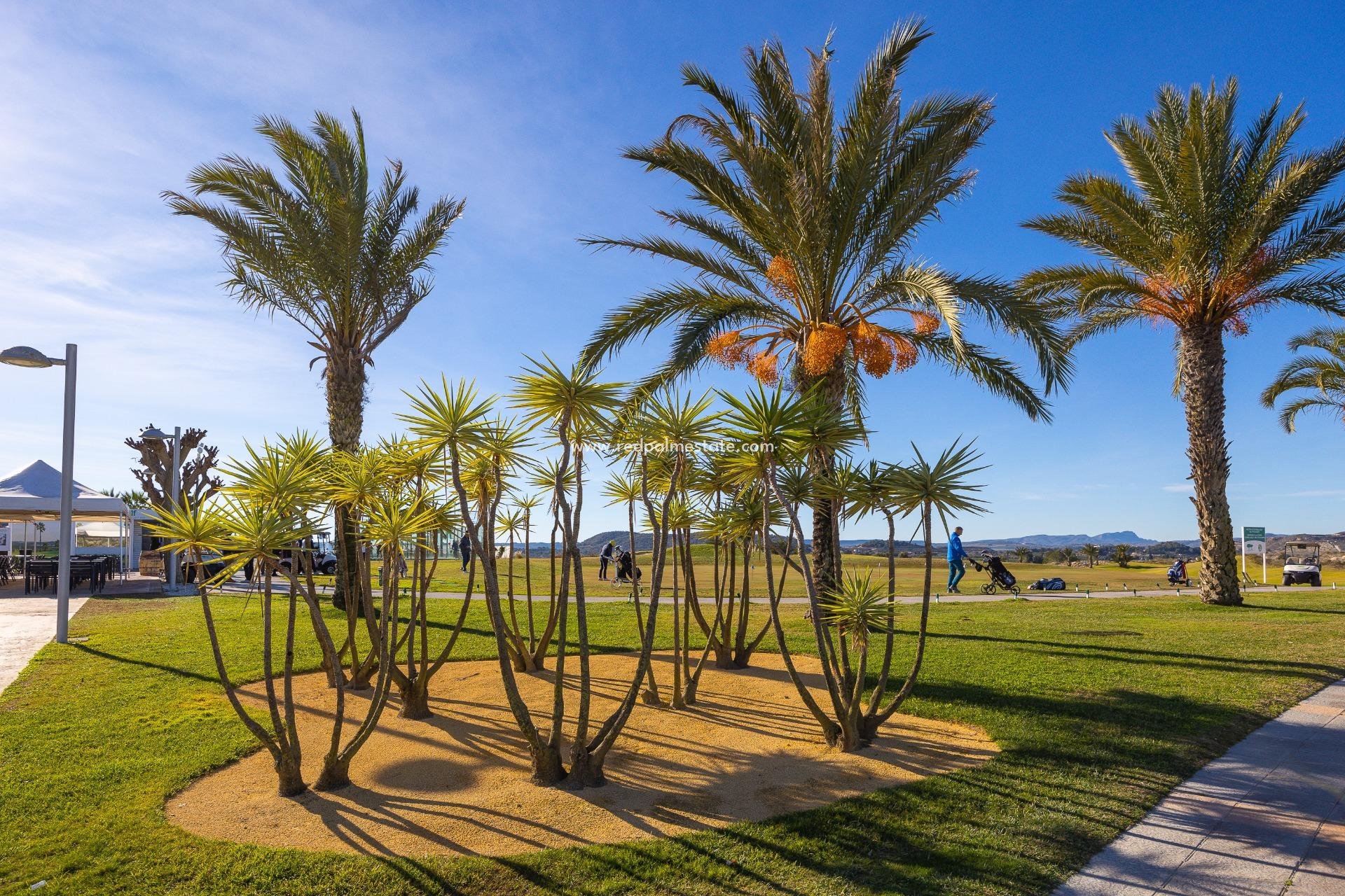 Revente - Bungalow -
Orihuela Costa - Desamparados-hurchillo-torremendo