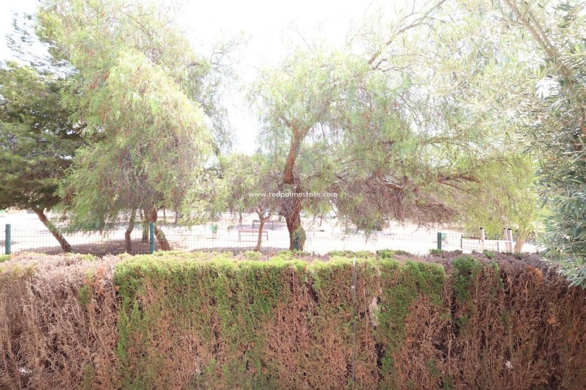 Revente - Bungalow -
Orihuela Costa - Punta prima