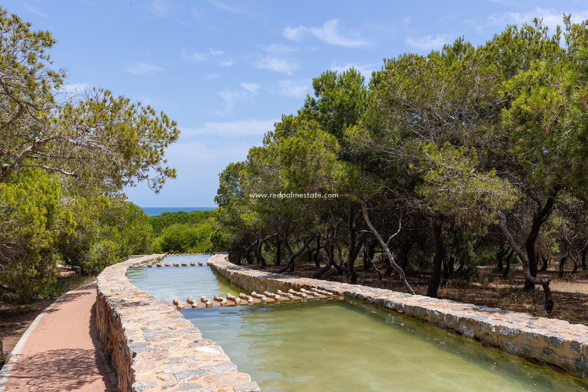 Revente - Bungalow -
Torrevieja - La Mata