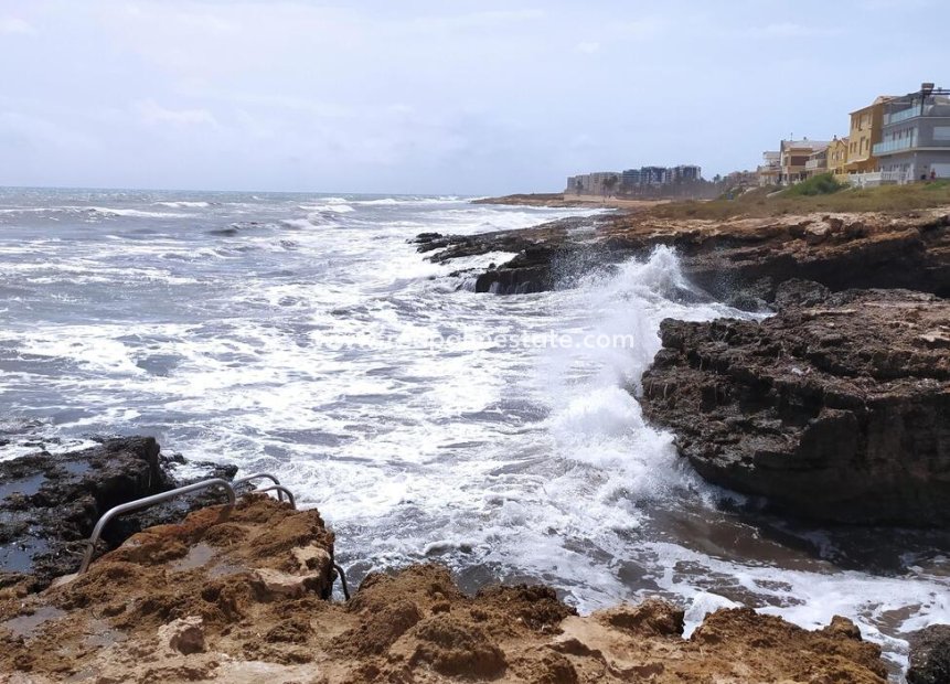 Revente - Bungalow -
Torrevieja - LA VELETA MAR AZUL