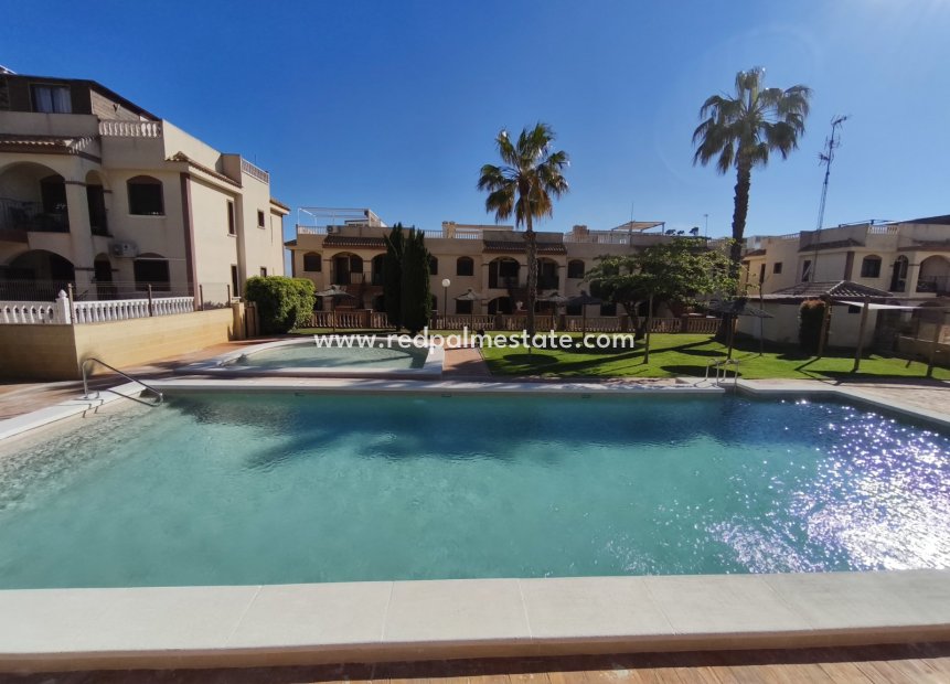 Revente - Bungalow -
Torrevieja - Nueva Torrevieja - Aguas Nuevas