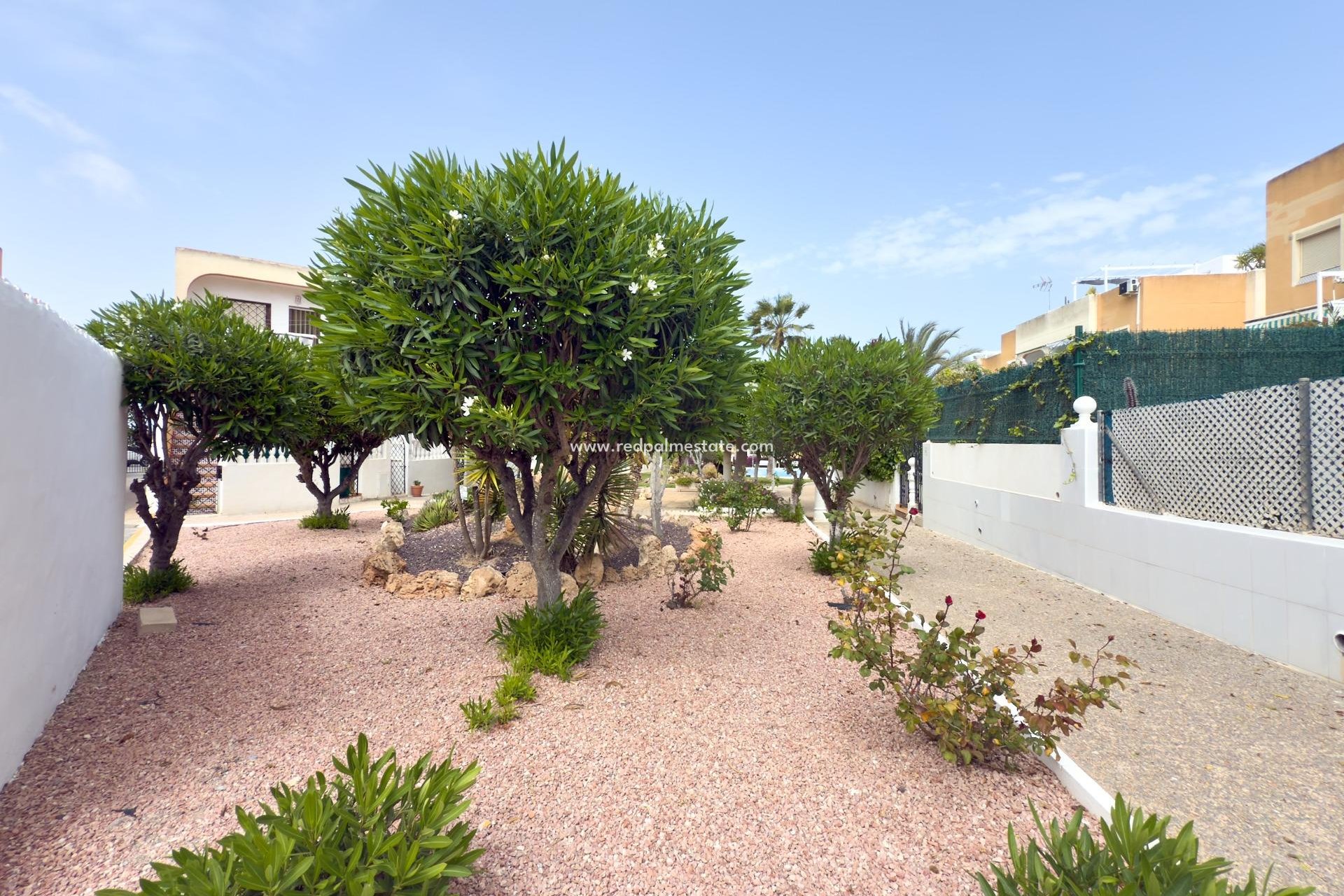 Revente - Bungalow -
Torrevieja - Torreblanca