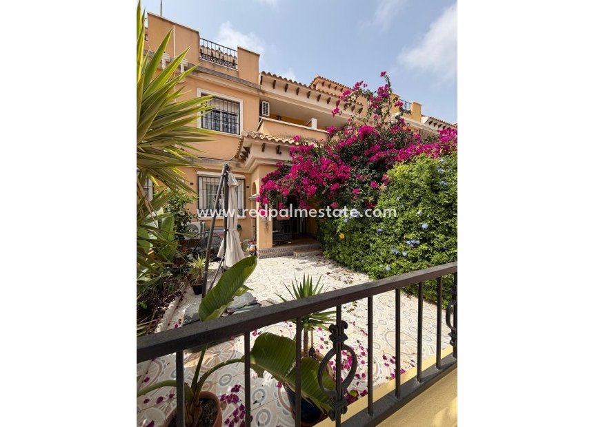 Revente - Bungalow -
Torrevieja - Zona Los Frutales