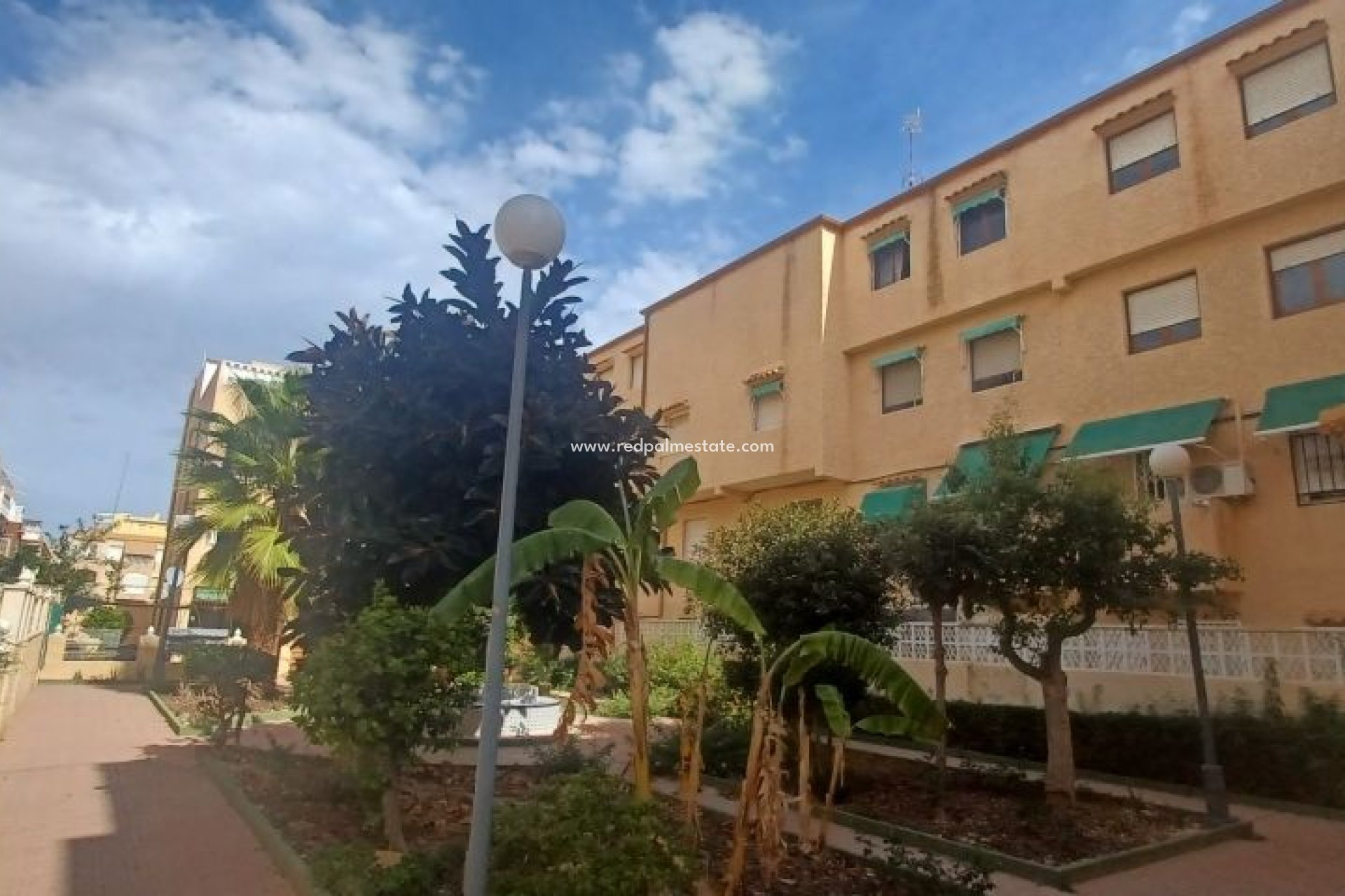 Revente - Bungalow -
Torrevieja