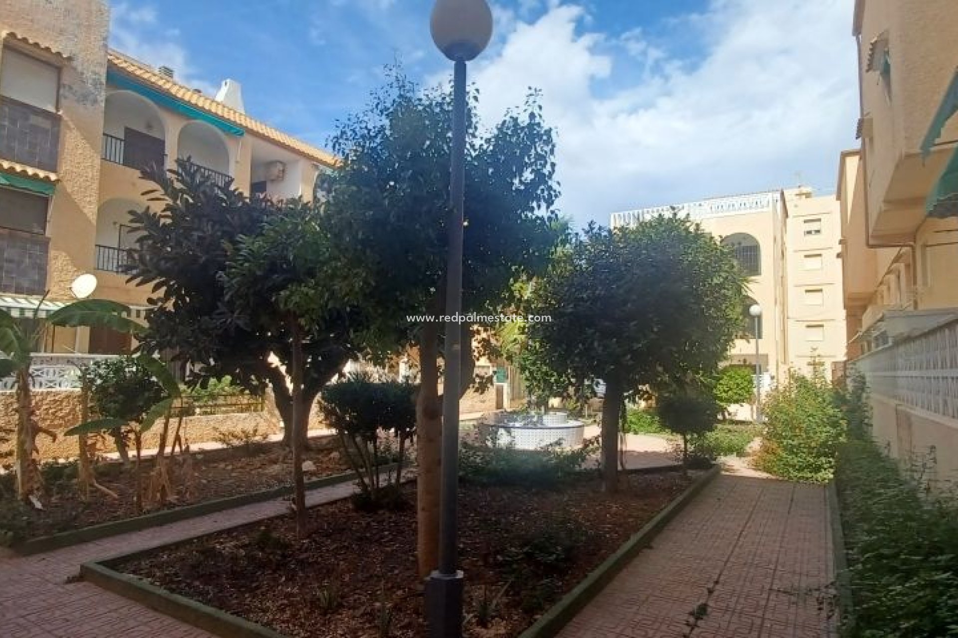 Revente - Bungalow -
Torrevieja