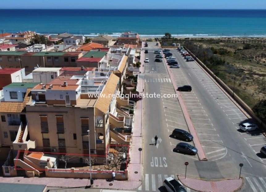 Revente - Bungalow -
Torrevieja