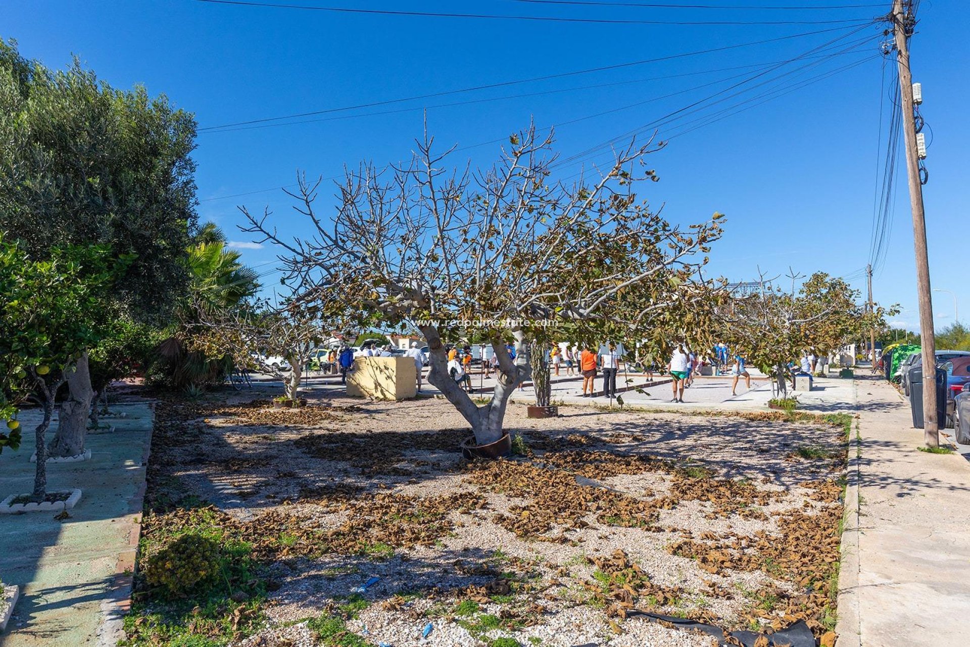 Revente - Bungalow -
Torrevieja