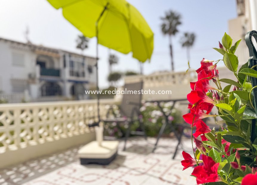 Revente - Bungalow -
Torrevieja