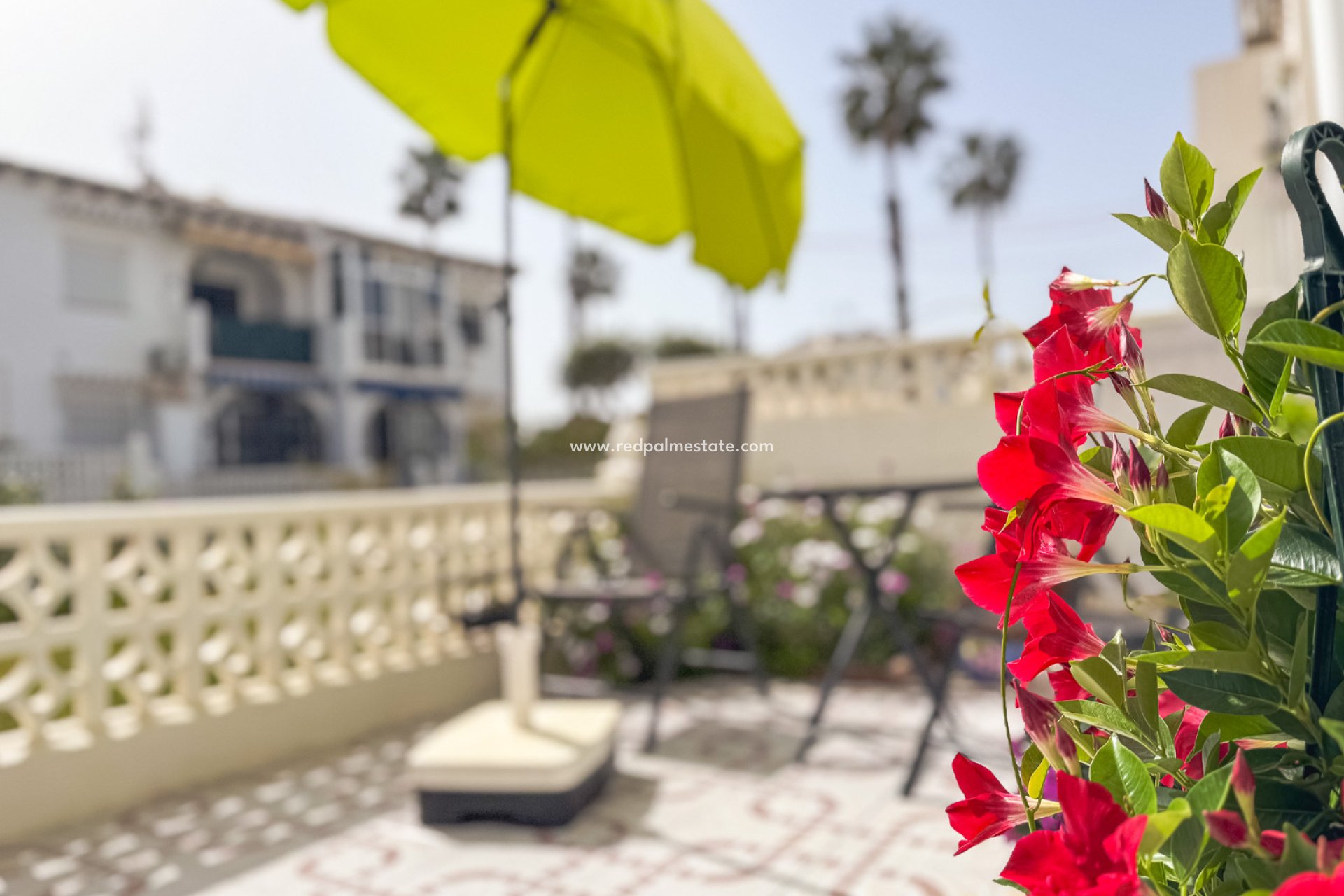 Revente - Bungalow -
Torrevieja