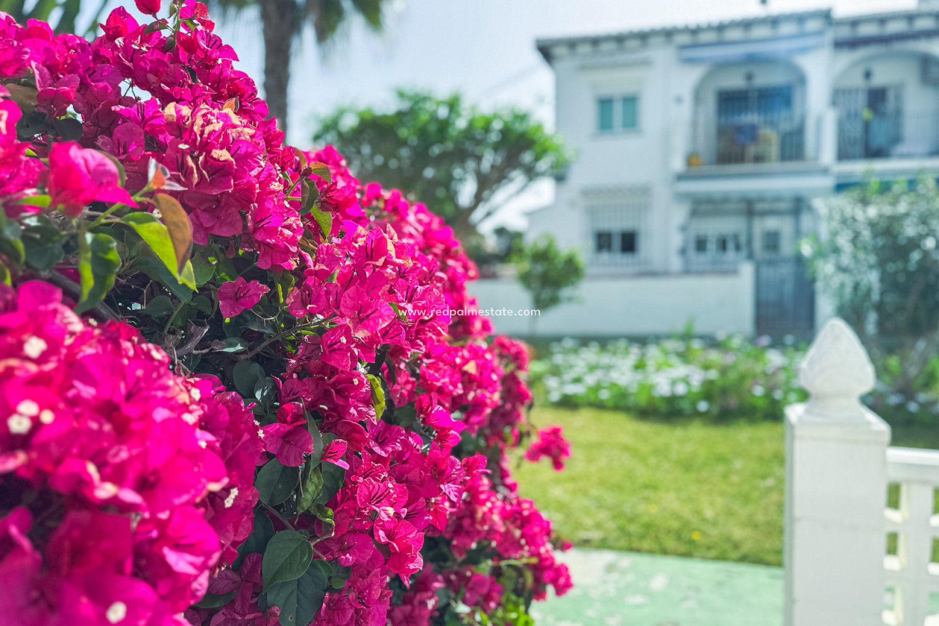 Revente - Bungalow -
Torrevieja