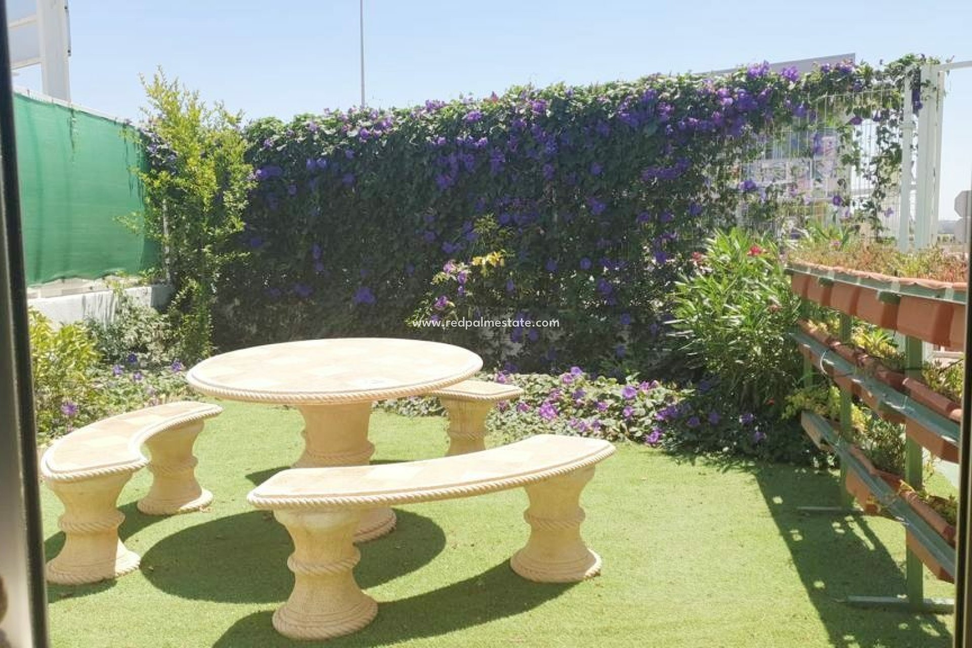 Revente - Entreprise -
Almoradí - Inland