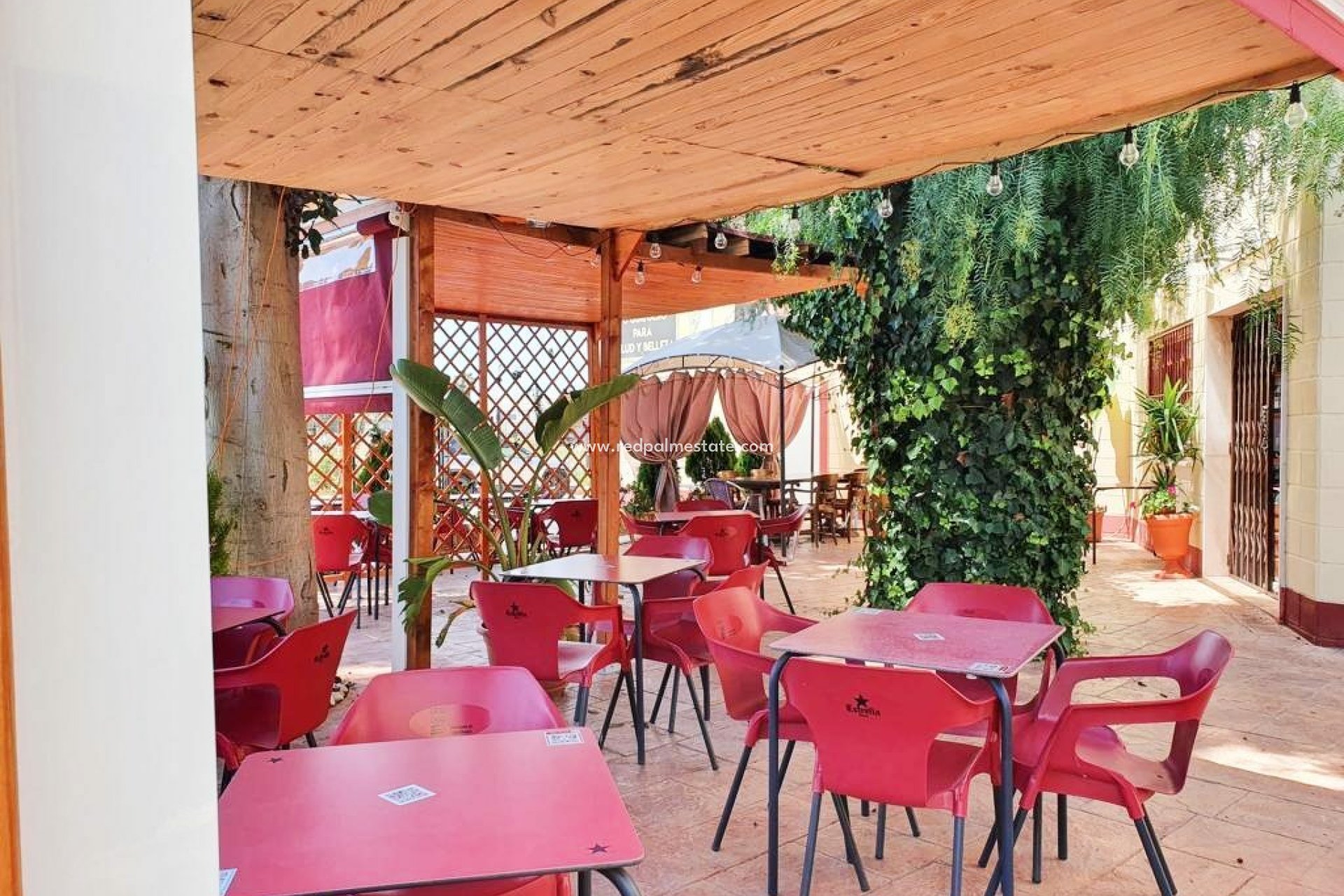 Revente - Entreprise -
Almoradí - Inland