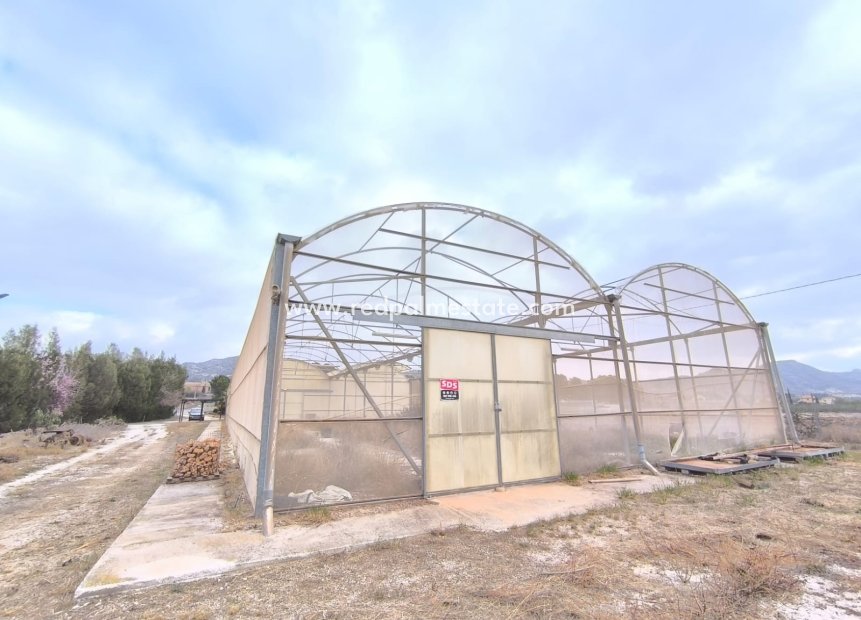 Revente - Entreprise -
Aspe - Inland
