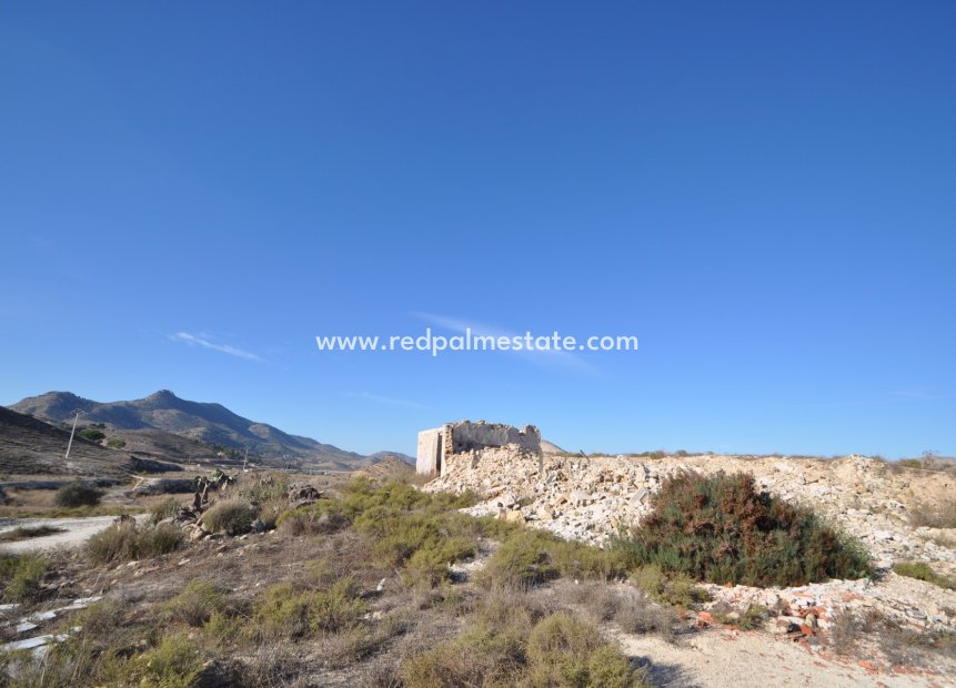 Revente - Entreprise -
Aspe - Inland
