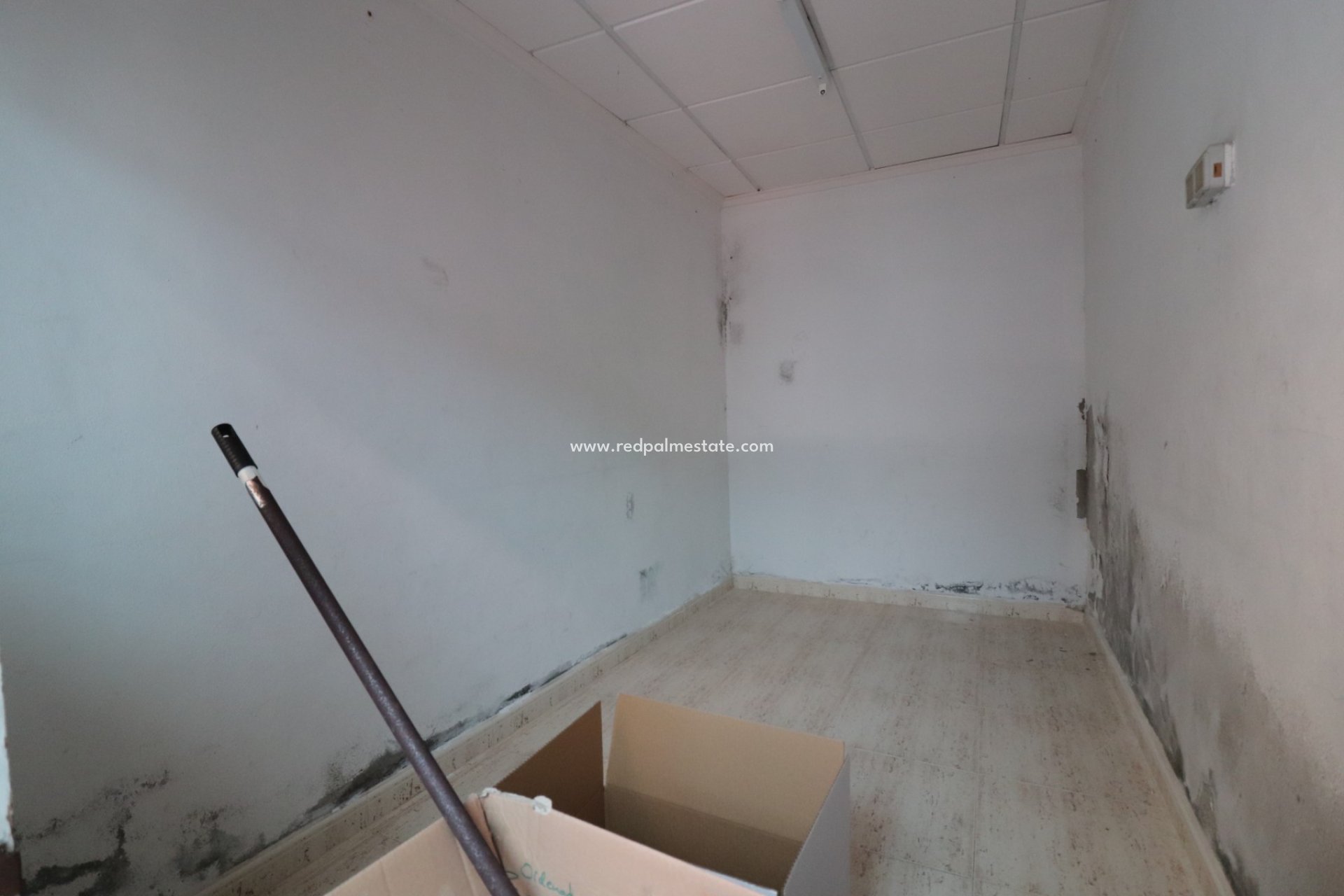 Revente - Entreprise -
Benijofar