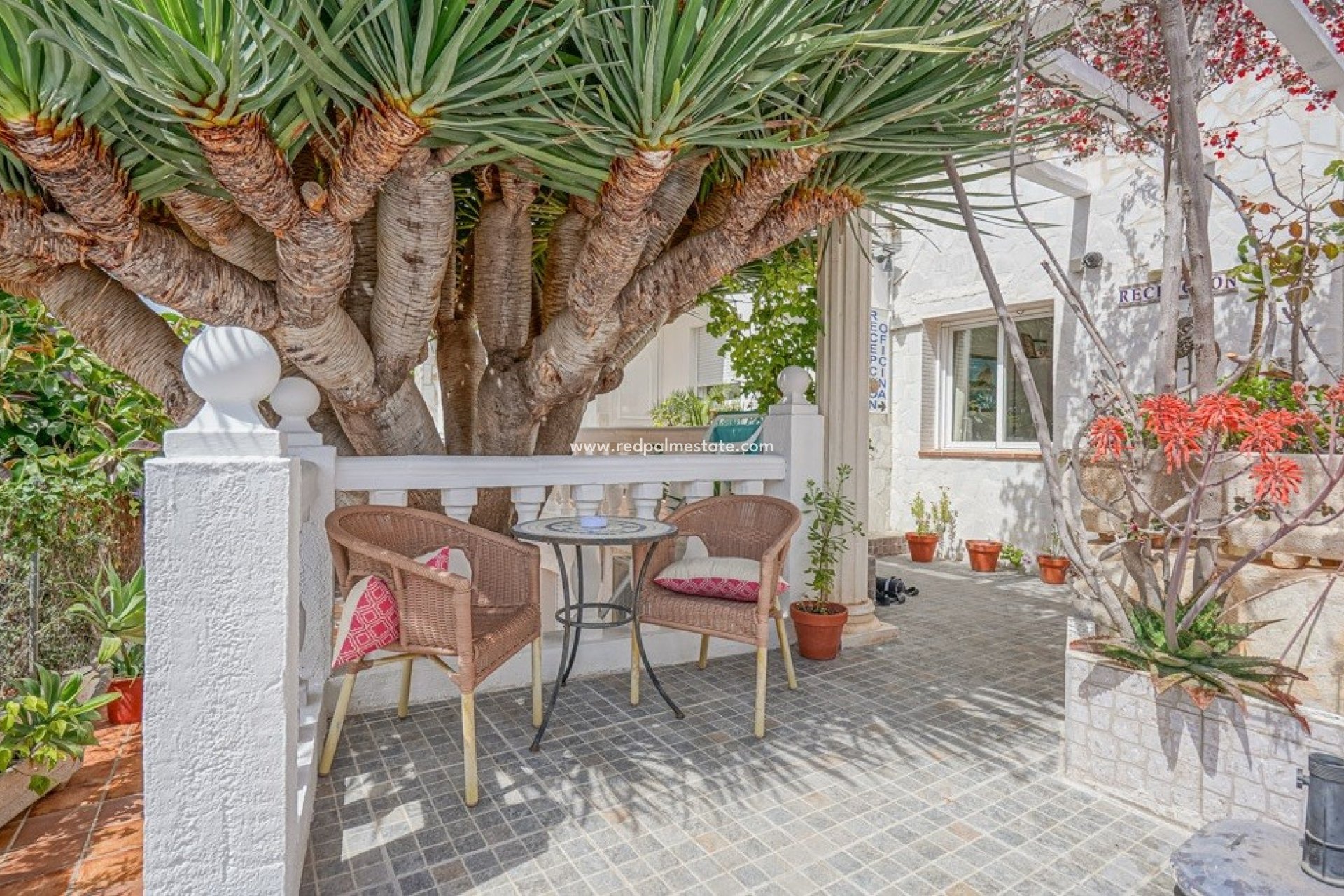 Revente - Entreprise -
Calpe